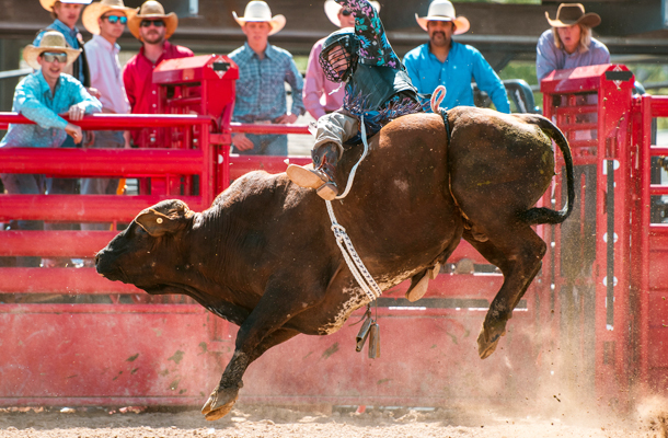 Rodeo Event Insurance
