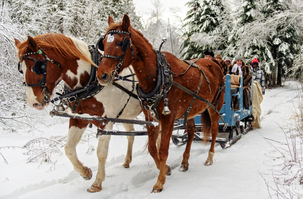Sleigh riding Insurance