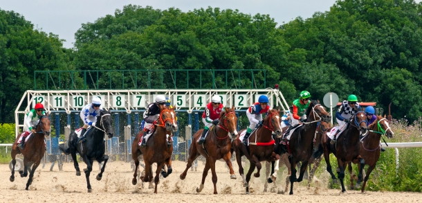 Horse Track and Racino Insurance