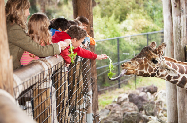 Zoo Insurance | K&K Canada