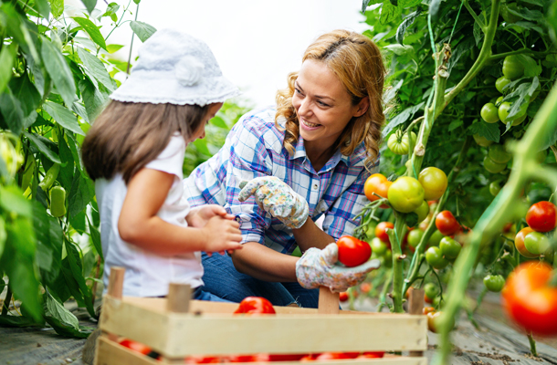 Agri-entertainment and Hobby Farm Insurance
